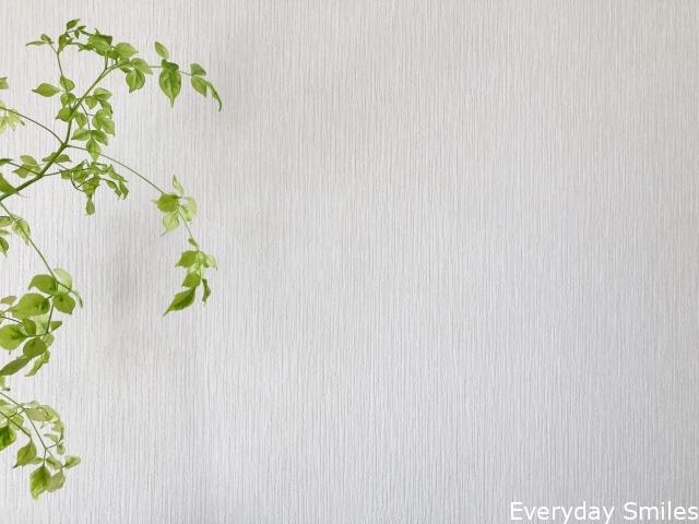 片付け 服を減らして起きた変化 効果 気づき 春の片付け 断捨離祭り Everyday Smiles ワーママの心と時間のゆとりを生んで笑顔になるブログ 片付け 服を減らして起きた変化 効果 気づき 春の片付け 断捨離祭り Everyday Smiles ワーママの心と時間のゆとりを生んで笑顔になるブログ